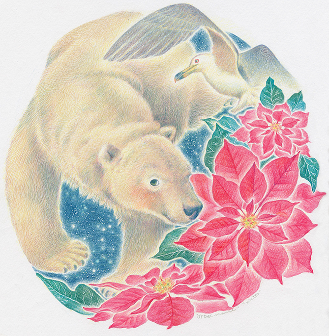 冬,12月,しろくま,カモメ,ポインセチア