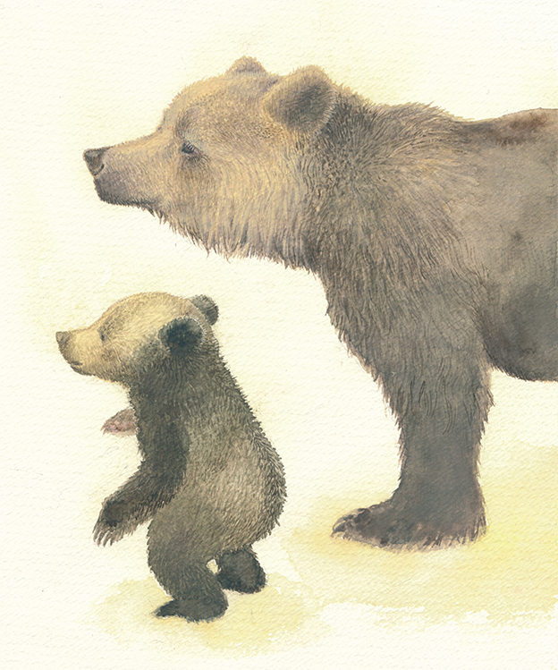 母グマ,子グマ,ヒグマ