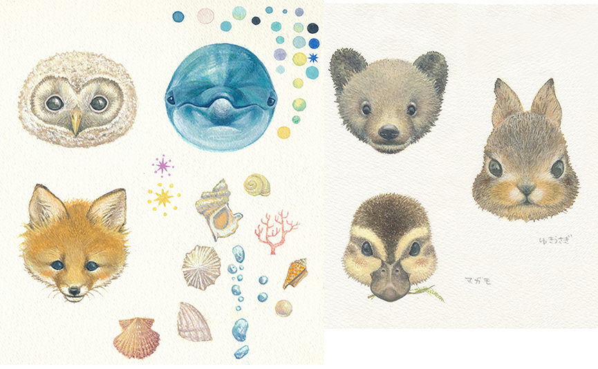 ヒグマ,ウサギ,カルガモ,フクロウ,バンドウイルカ,キタキツネ,貝殻,珊瑚,水泡