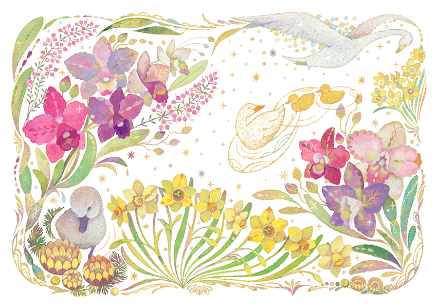 カレンダーイラスト,１月,アヒルのヒナ,白鳥,カトレア,ミニスイセン,フクジュソウ,童話