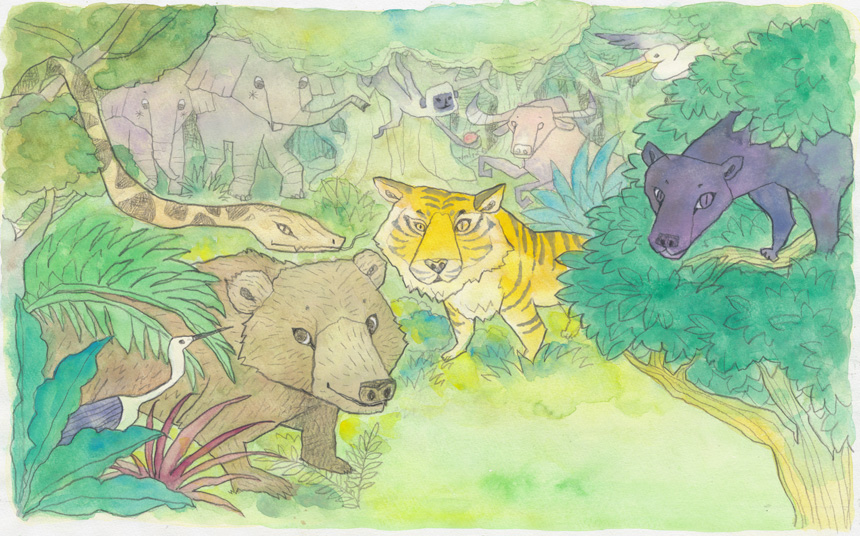 クマ,ヒョウ,トラ,ゾウ,サル,水牛,ペリカン,ジャングル,緑,ジャングル